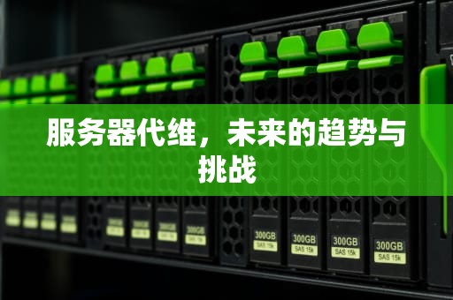 服务器代维，未来的趋势与挑战