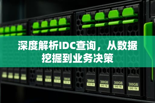深度解析IDC查询，从数据挖掘到业务决策