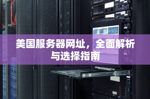 美国服务器网址，全面解析与选择指南