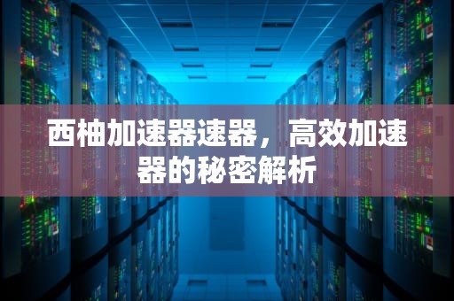 西柚加速器速器，高效加速器的秘密解析
