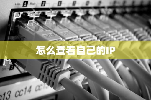 怎么查看自己的IP