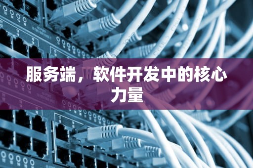 服务端，软件开发中的核心力量