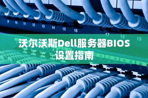 沃尔沃斯Dell服务器BIOS设置指南