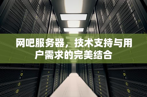 网吧服务器，技术支持与用户需求的完美结合