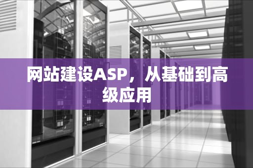 网站建设ASP，从基础到高级应用