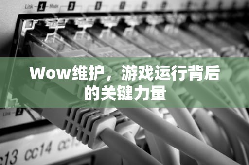 Wow维护，游戏运行背后的关键力量