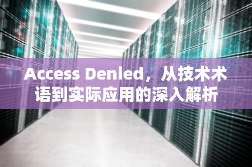 Access Denied，从技术术语到实际应用的深入解析
