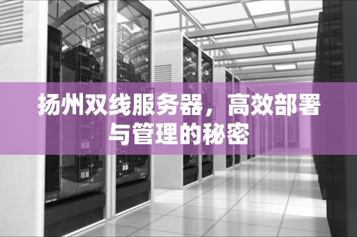 扬州双线服务器，高效部署与管理的秘密