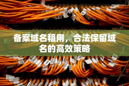 备案域名租用，合法保留域名的高效策略