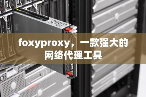 foxyproxy，一款强大的网络代理工具
