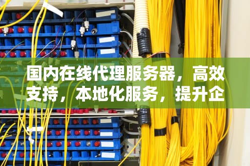国内在线代理服务器，高效支持，本地化服务，提升企业竞争力
