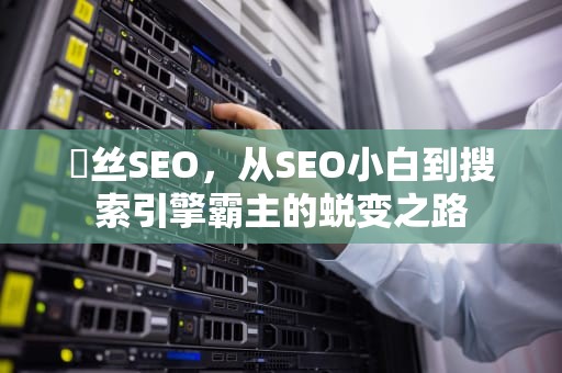 屌丝SEO，从SEO小白到搜索引擎霸主的蜕变之路