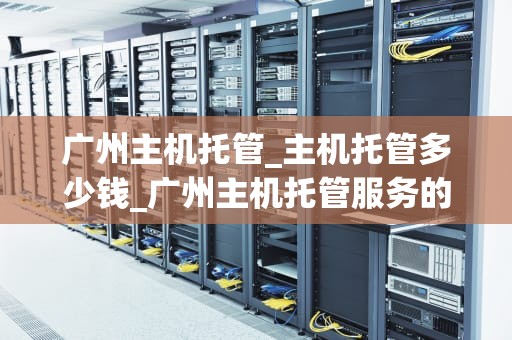 广州主机托管_主机托管多少钱_广州主机托管服务的优势与选择