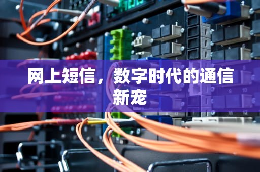 网上短信，数字时代的通信新宠
