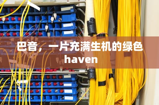 巴音，一片充满生机的绿色 haven