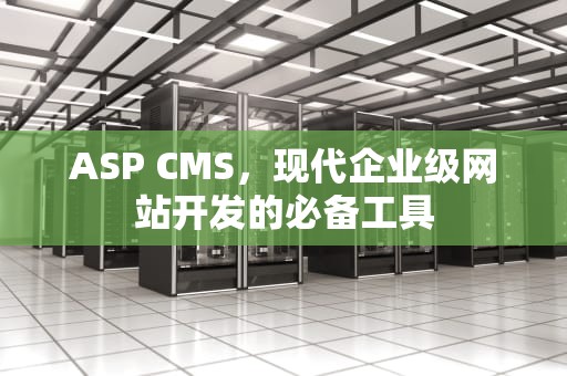 ASP CMS，现代企业级网站开发的必备工具