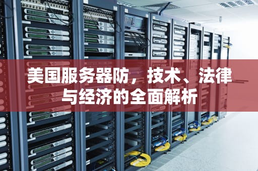 美国服务器防，技术、法律与经济的全面解析