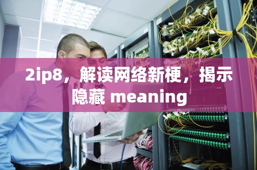 2ip8，解读网络新梗，揭示隐藏 meaning