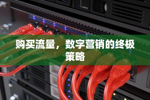 购买流量，数字营销的终极策略