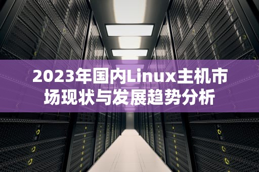 2023年国内Linux主机市场现状与发展趋势分析