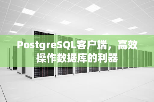 PostgreSQL客户端，高效操作数据库的利器