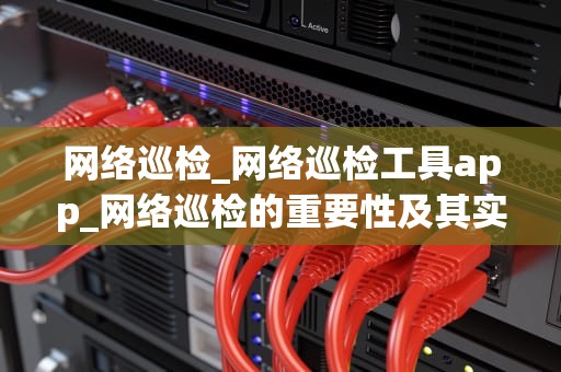 网络巡检_网络巡检工具app_网络巡检的重要性及其实施策略