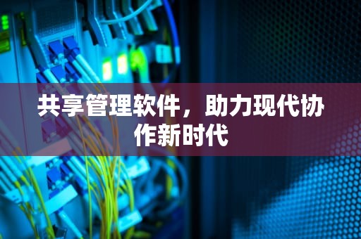 共享管理软件，助力现代协作新时代