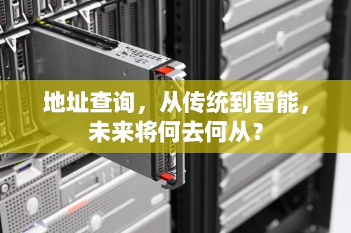 地址查询，从传统到智能，未来将何去何从？