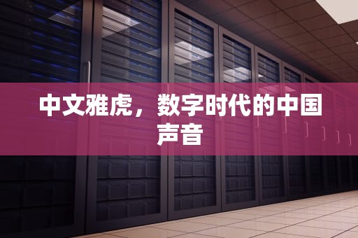 中文雅虎，数字时代的中国声音