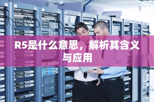 R5是什么意思，解析其含义与应用