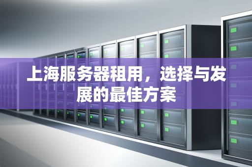 上海服务器租用，选择与发展的最佳方案