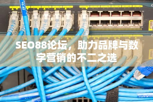 SEO88论坛，助力品牌与数字营销的不二之选