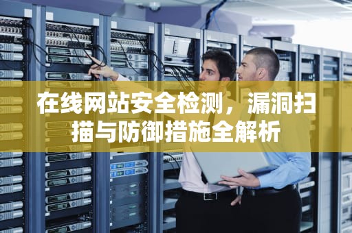 在线网站安全检测，漏洞扫描与防御措施全解析