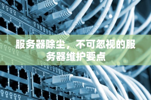 服务器除尘，不可忽视的服务器维护要点