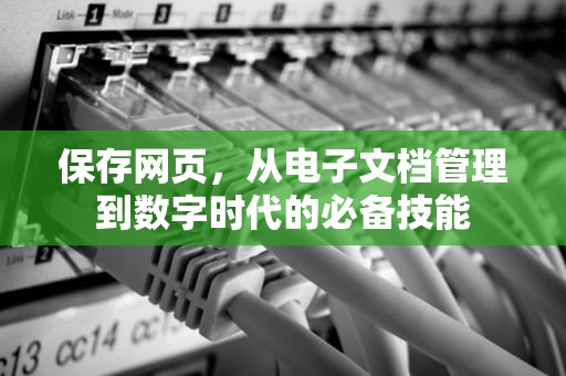 保存网页，从电子文档管理到数字时代的必备技能