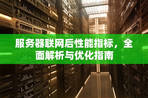 服务器联网后性能指标，全面解析与优化指南