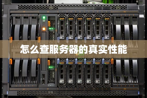怎么查服务器的真实性能