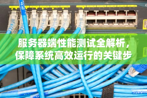 服务器端性能测试全解析，保障系统高效运行的关键步骤