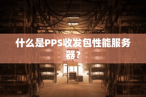 什么是PPS收发包性能服务器？
