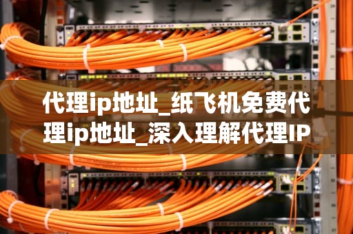 代理ip地址_纸飞机免费代理ip地址_深入理解代理IP地址及其应用