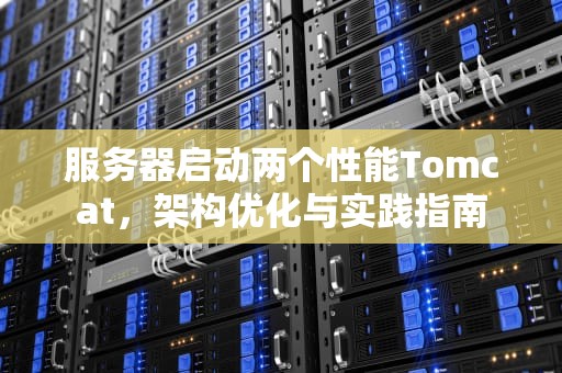服务器启动两个性能Tomcat，架构优化与实践指南