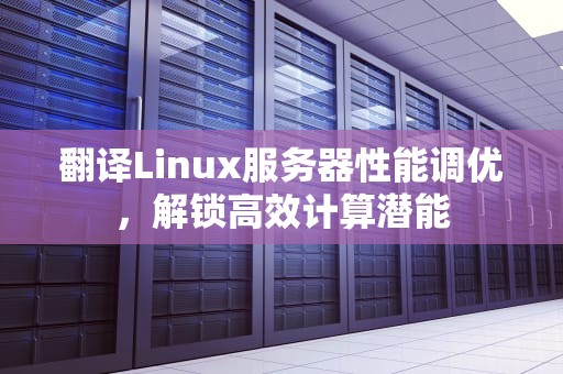 翻译Linux服务器性能调优，解锁高效计算潜能