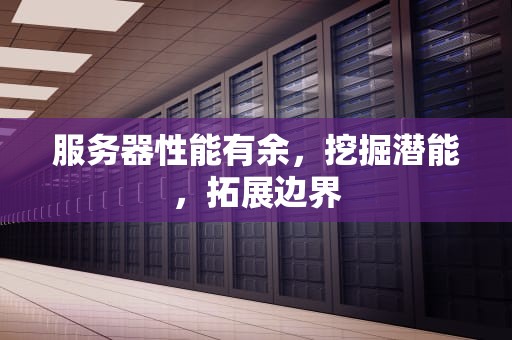 服务器性能有余，挖掘潜能，拓展边界