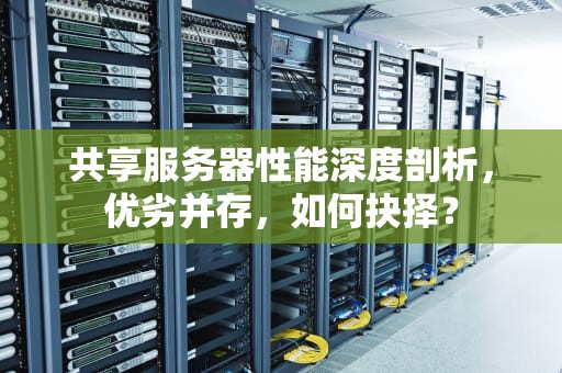 共享服务器性能深度剖析，优劣并存，如何抉择？