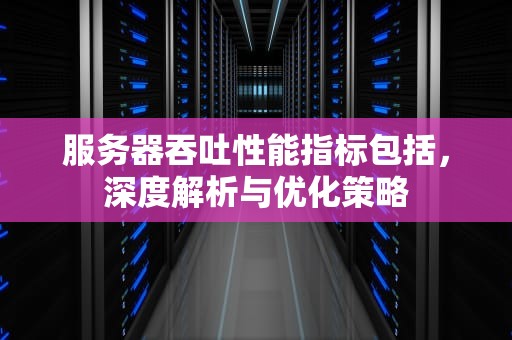 服务器吞吐性能指标包括，深度解析与优化策略