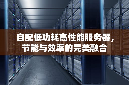 自配低功耗高性能服务器，节能与效率的完美融合