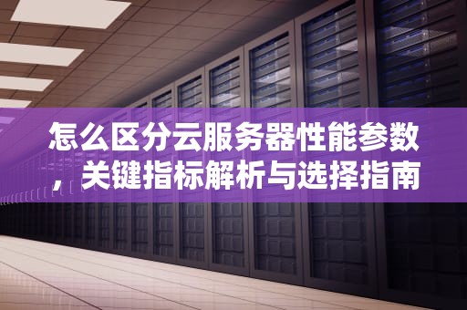 怎么区分云服务器性能参数，关键指标解析与选择指南