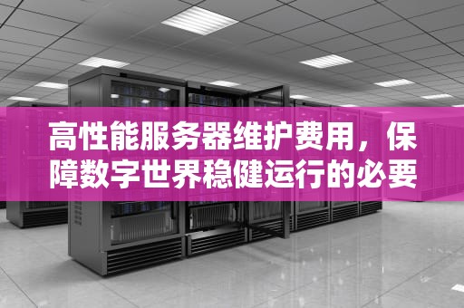 高性能服务器维护费用，保障数字世界稳健运行的必要投资