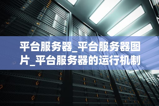 平台服务器_平台服务器图片_平台服务器的运行机制与优化策略