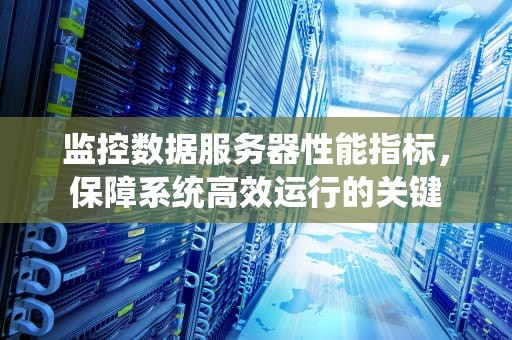 监控数据服务器性能指标，保障系统高效运行的关键